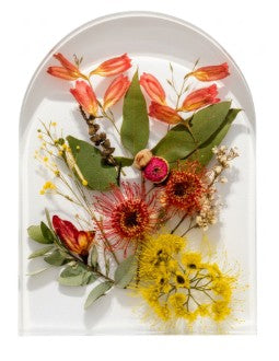 FOREVER BLOOMS ARCH - Australian Native Flora