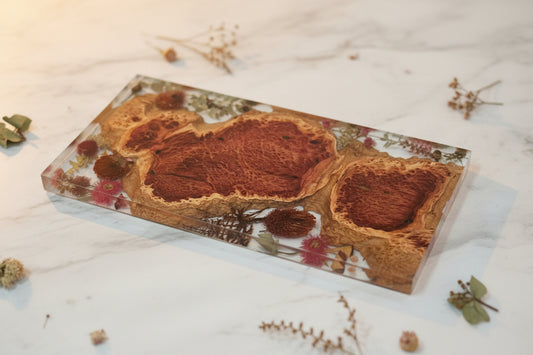 AUSTRALIAN RED MALLEE BURL with NATIVE FLOWERS - Charcuterie Board - 600mm x 300mm x 50mm