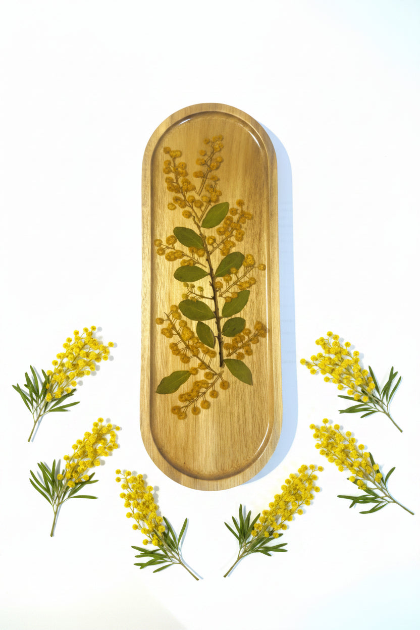 Australian Golden Wattle Acacia Tray - 29cm x 10cm
